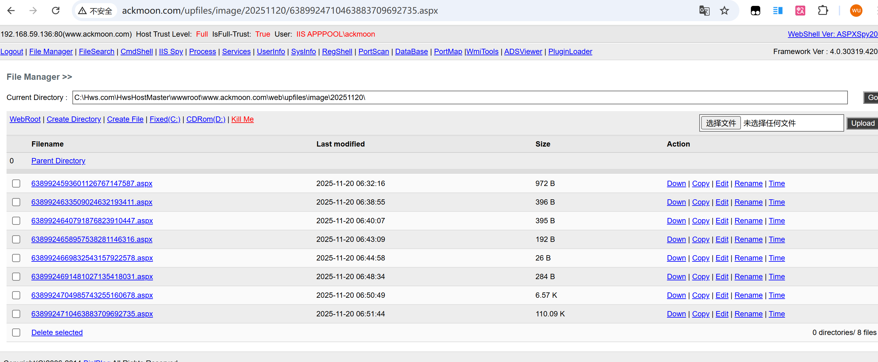 image-20251120145232879