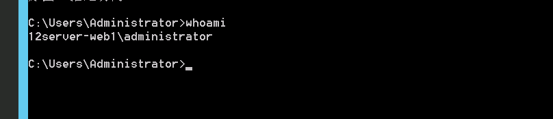 image-20251120224557841