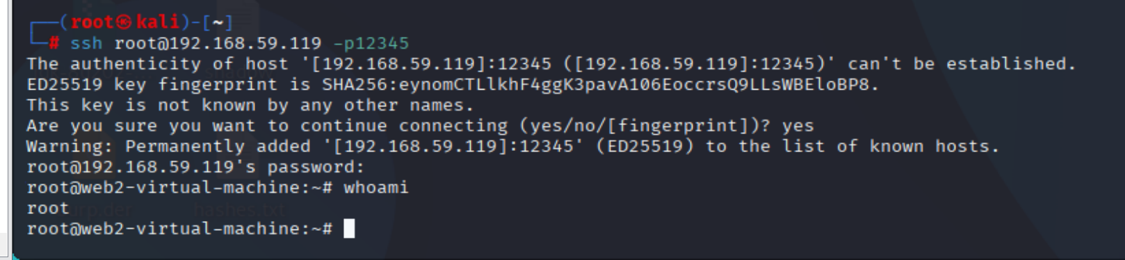 image-20251005214305863