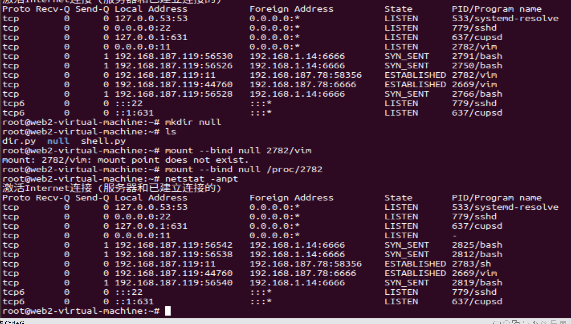 image-20251007172905322