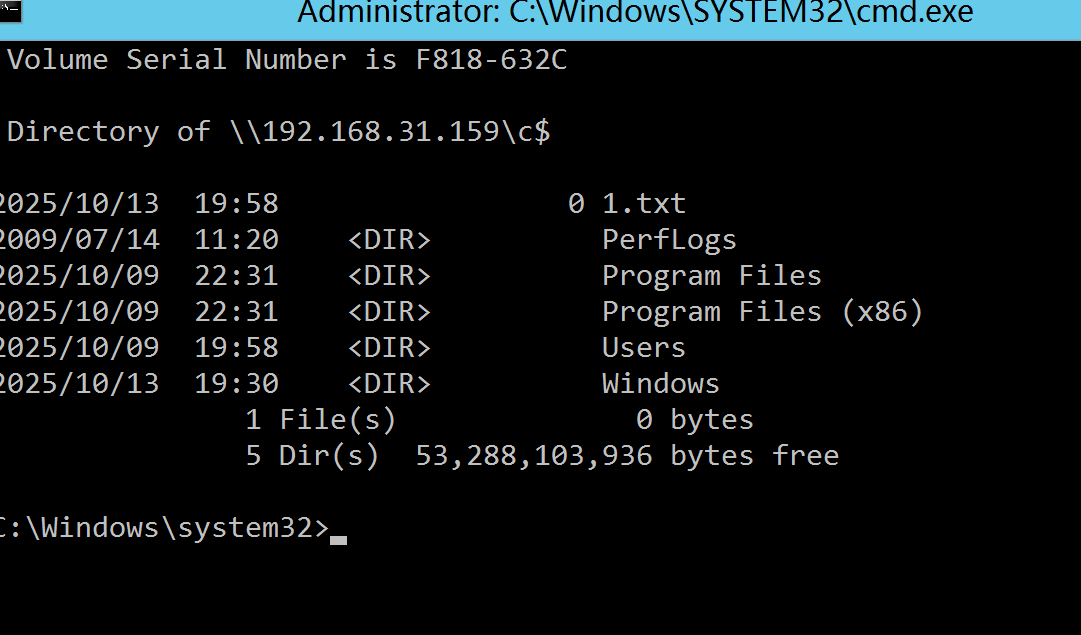 image-20251013225250196