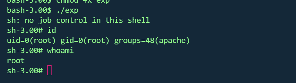 image-20260127233711724