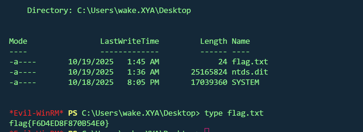 image-20260208223103619