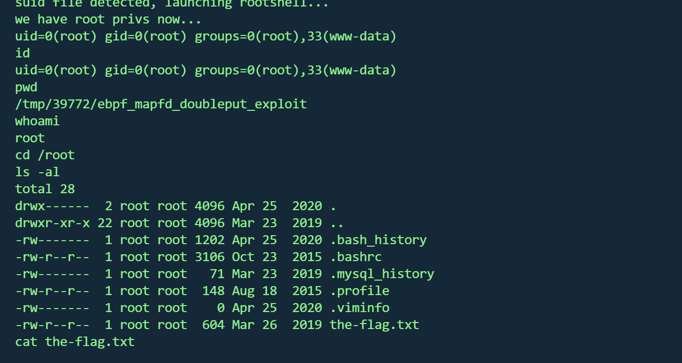 image-20260218215550048