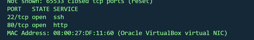 image-20260220204937473