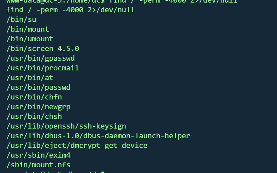 image-20260221183713202