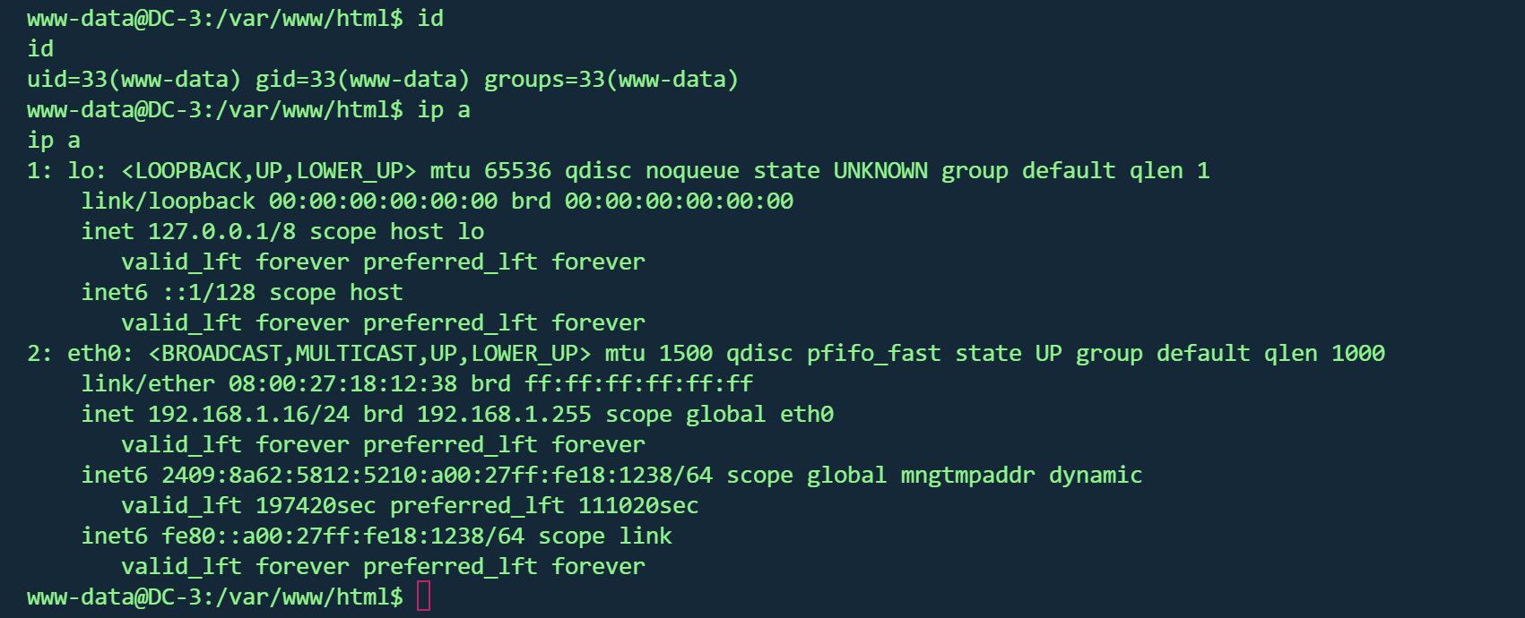 image-20260218211310345