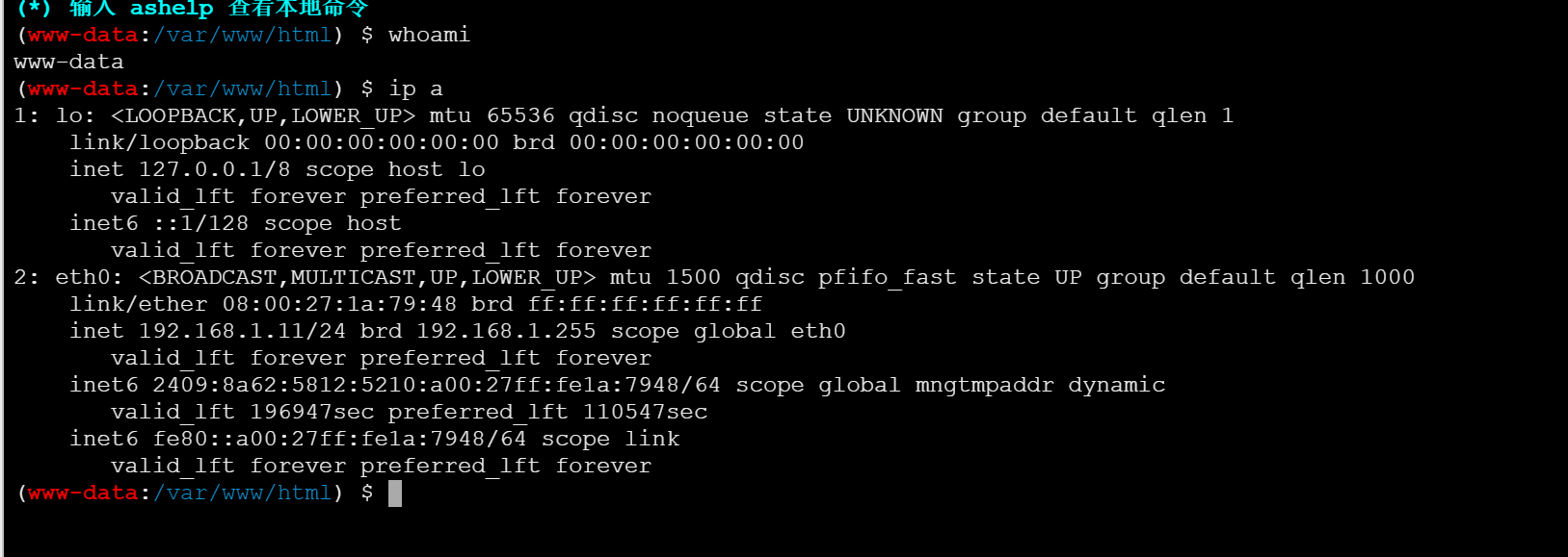 image-20260223212107267